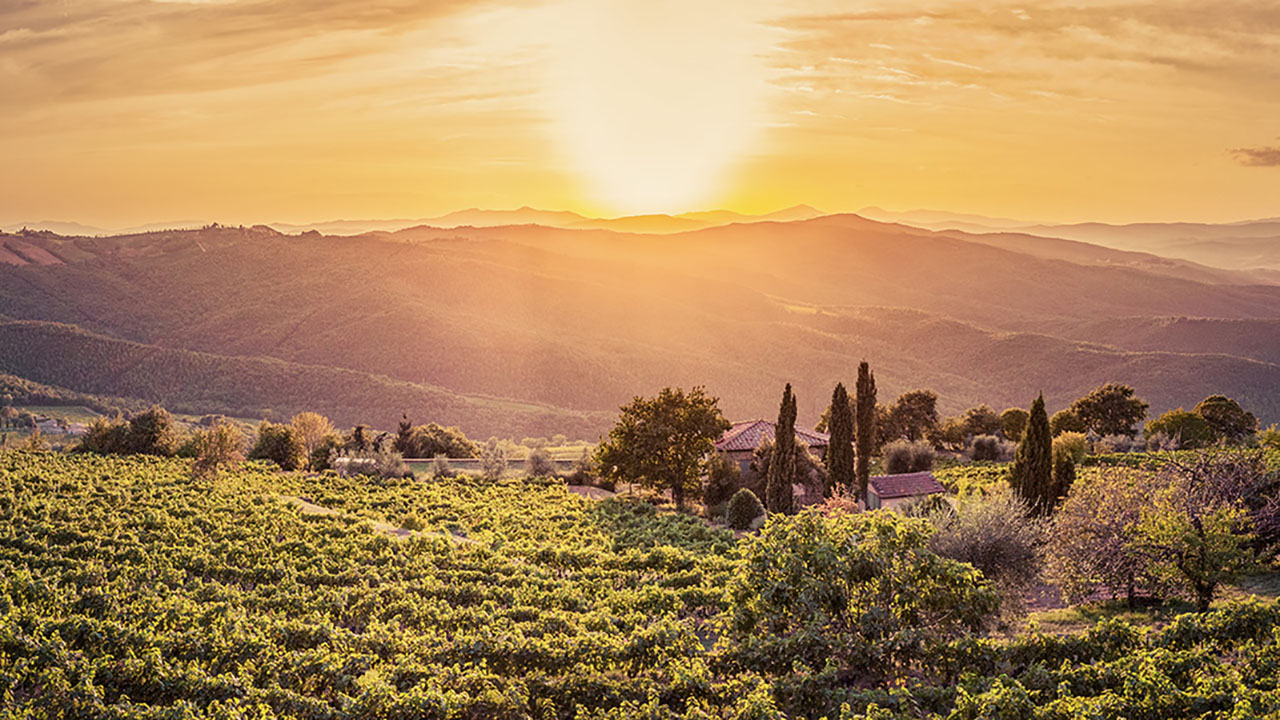 brunello 2015 grande annata investire in vino
