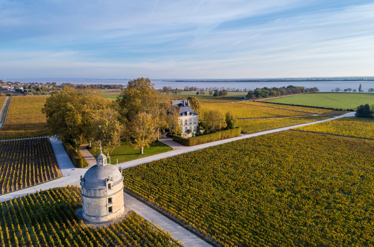 Analisi di mercato Chateau Latour 2013 investire in vino